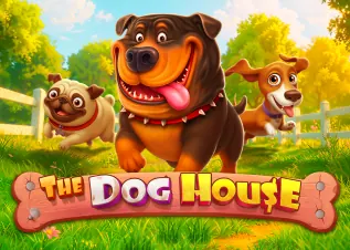 lava55 The Dog House ทดลองเล่นฟรี
